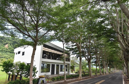 Luye Bed & Breakfast | Dream Field