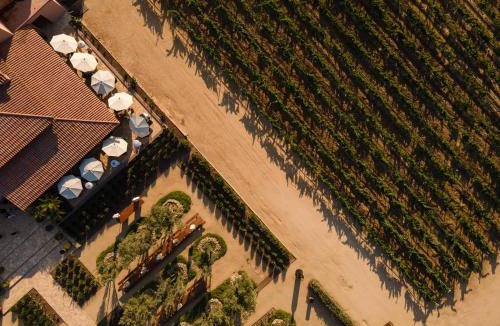 Valle de Guadalupe Hotel | El Cielo Resort