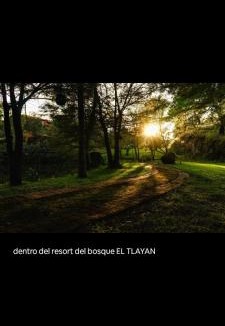 Tala Cabin | El Manik cabañas El Tlayan