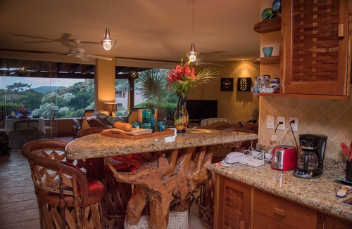 Zihuatanejo Condo | Enjoy YEAR-ROUND! Summer Rates Available!