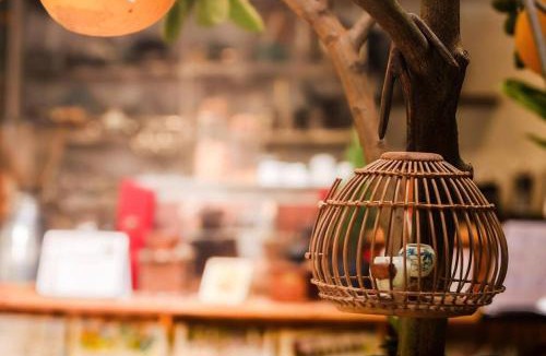 Ba Dinh Bed & Breakfast | Entire Đòng Garden House