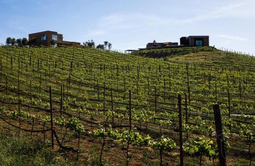 Valle de Guadalupe Hotel | Estancias Sierravita