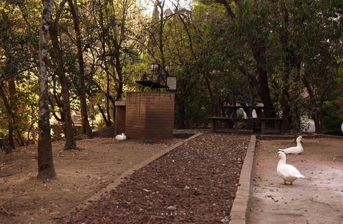Cuajimalpa Apartment | Exclusive and luxurious apartment