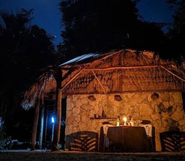 Leona Vicario Other | Exclusive Treehouse and Cenote - Sweet Jungle Dreams