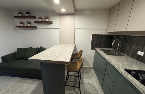 Zona Centro Apartment | Executive Dept