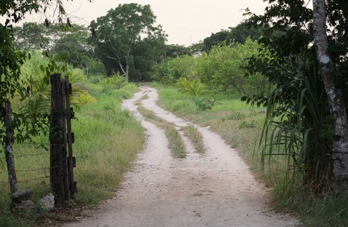 Panaba Other | Farm Lodging near San Felipe, Yucatan