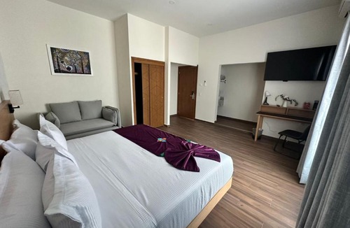 Zona Minerva Hotel | FCH Hotel Minerva-CAS