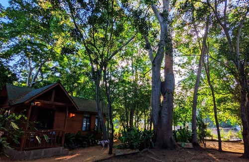 Ixtapa Cabin | Free pet-friendly nice Cabin/Wifi/AC/Kitchen/Grill