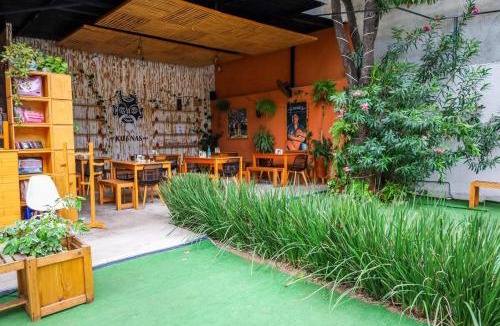 Reforma Apartment | Fresia habitación privada con encanto oaxaqueño