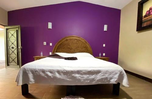 Ameca Hotel | Frutos Hotel