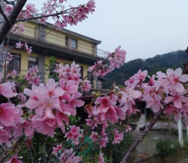 Nanzhuang Bed & Breakfast | Fu Chuan Garden
