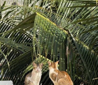 Hoai Nhon Hotel | GAJOs HOUSE