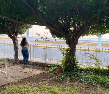 Campeche House | Galeria Elementos Hospedaje Aire