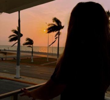 Campeche House | Galeria Elementos Hospedaje Aire