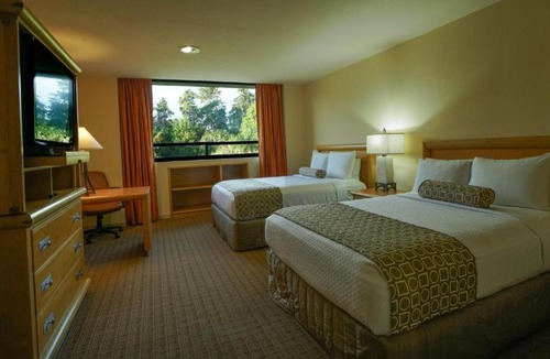 Xalapa Hotel | Gamma by Fiesta Americ Xalapa Nubara