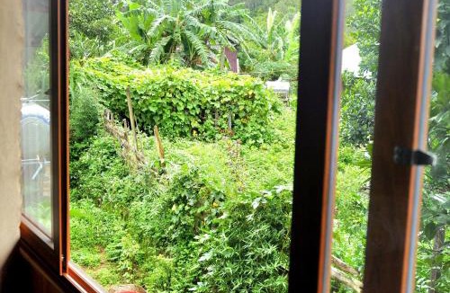 Kon Plong Hotel | Gió Homestay 2 - Măng Đen