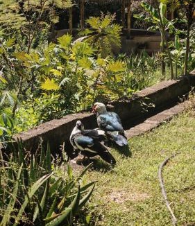 San Andres Apartment | Glamping in Malinalco