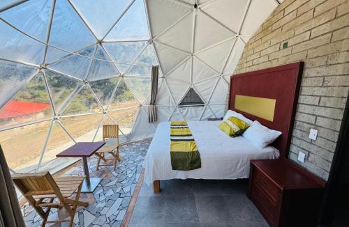 Mascota Other | Glamping Mascota