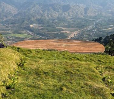 Kon Ray Other | Glamroses Permaculture Farm