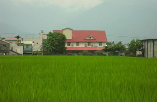 Yuli House | Golden flower Homestay