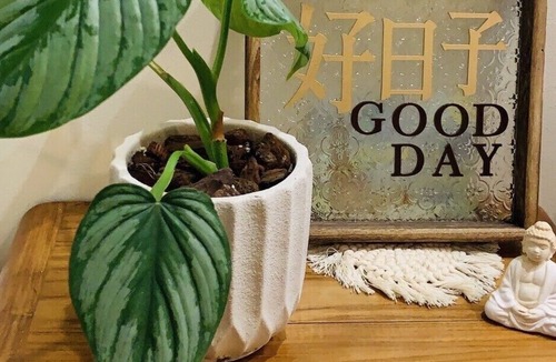 Yuli Bed & Breakfast | good day