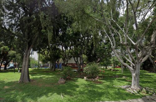 Leon Apartment | Great location Groundfloor near Calzada