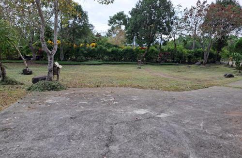Guangfu House | Green Forest Homestay