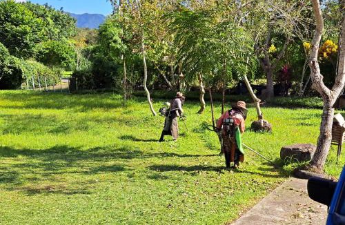 Guangfu House | Green Forest Homestay