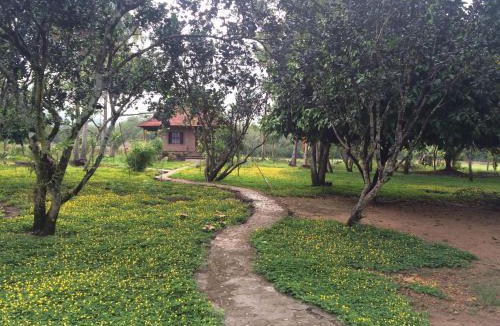 Nam Cat Tien Cabin | Green Hope Lodge