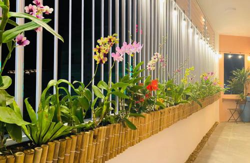 Tuy Hoa House | GREEN-TREE Homestay Tuy Hòa