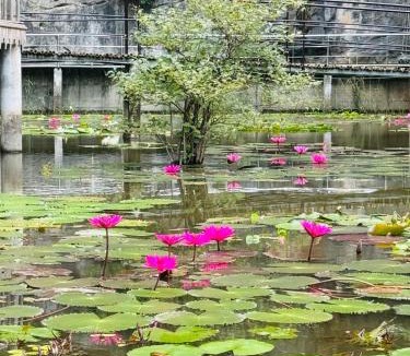 Hoa Lu House | Green Valley Homestay - Thung Lũng Xanh