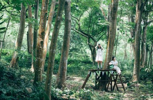 Sanyi House | Green Wave Sanyi BY REINDEER