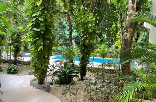 Akumal Condo | ground level 2-bedroom condo with AC in beautiful Akumal