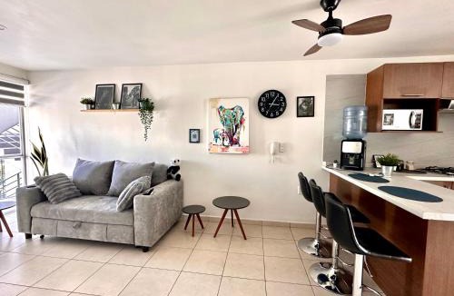 Guadalajara Apartment | Guadalajara Depa - Zoo