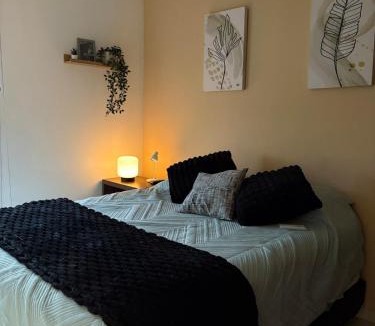 Guadalajara Apartment | Guadalajara Depa - Zoo