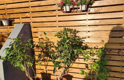 Puli House | Hajin Homestay