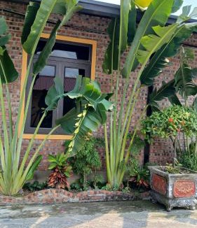 Ninh Binh Hotel | Hana Homestay