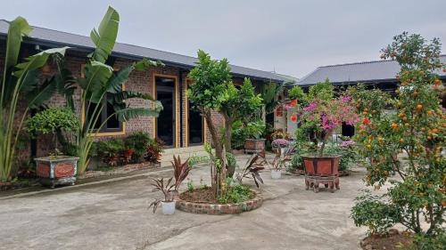 Ninh Binh Hotel | Hana Homestay