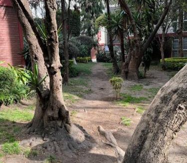 Coyoacan Apartment | Hermoso Descanso en Coyoacán