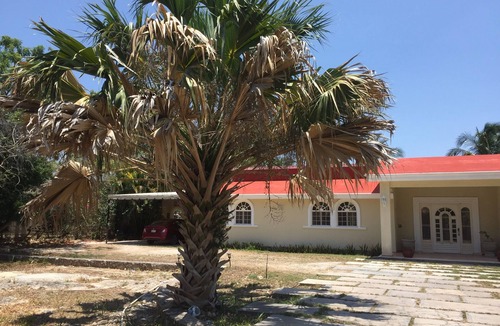 Merida Apartment | Hermoso estudio nuevecito cerca de la playa, zona arqueólogica, universidades