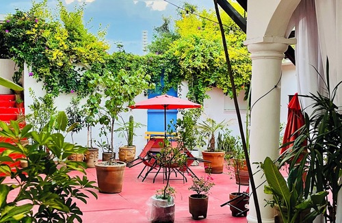 Centro Apartment | Hidden Gem: Bright and spacious apartment, just steps from Oaxaca’s best spots!