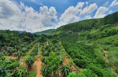 Da Lat House | Hoa Sơn Điền Viên Homestay