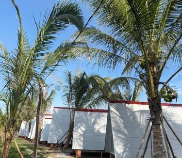 Phu Quoc Cabin | Hoa Tigon Hòn Một