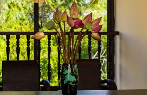 Hoi An Villa | HOIANOI VILLA - A LITTLE HOI AN