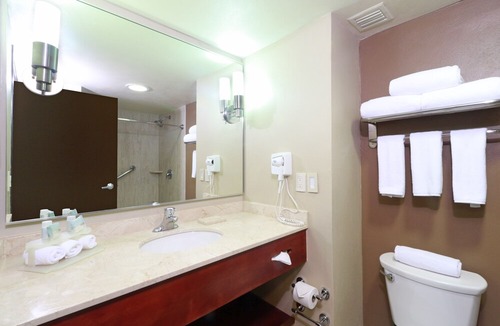 Tlaquepaque Hotel | Holiday Inn Express Guadalajara Aeropuerto
