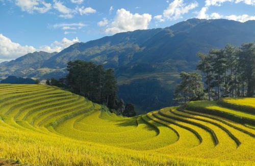 Mu Cang Chai House | Homestay Chù Chỏ