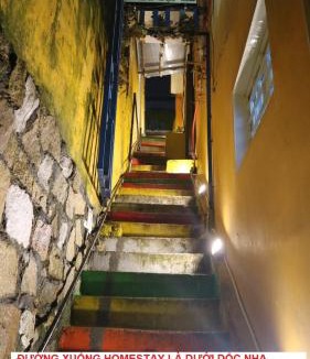 Da Lat Hostel | Homestay HoLo