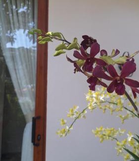 Phan Rang - Thap Cham Apartment | Homestay Mai Biển Ninh Chử