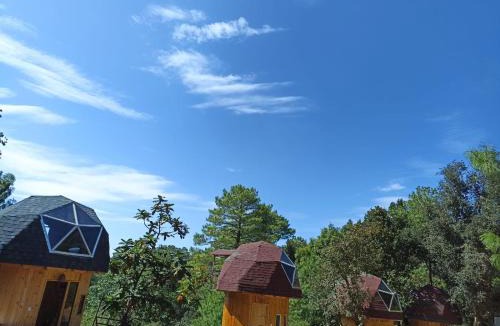 San Jose del Pacifico House | Hongos mágicos