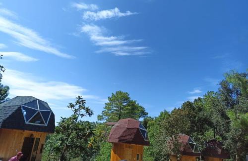 San Jose del Pacifico House | Hongos mágicos